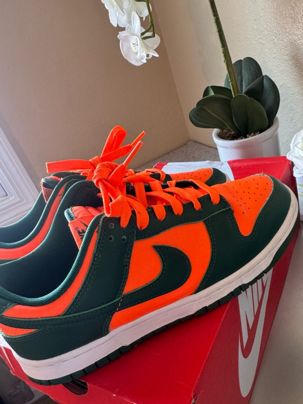 Nike Dunks Miami Hurricane